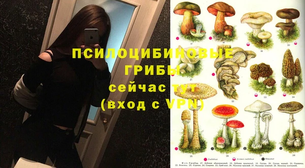 альфа пвп Дмитровск