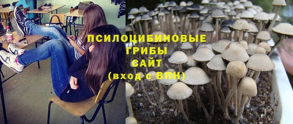 альфа пвп Дмитровск