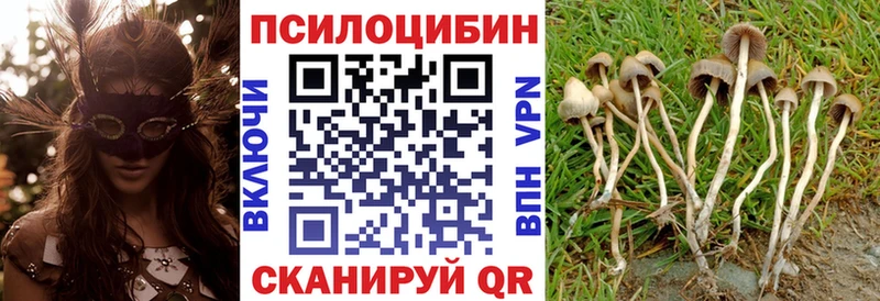 Галлюциногенные грибы GOLDEN TEACHER  Купить закладки  Коломна 